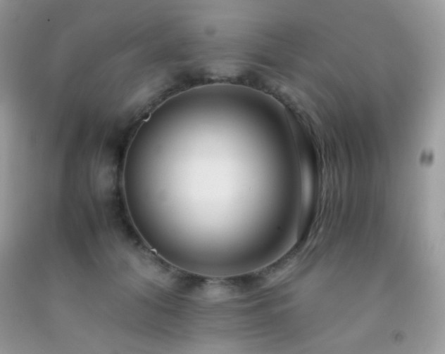 X0000092250608200709141150