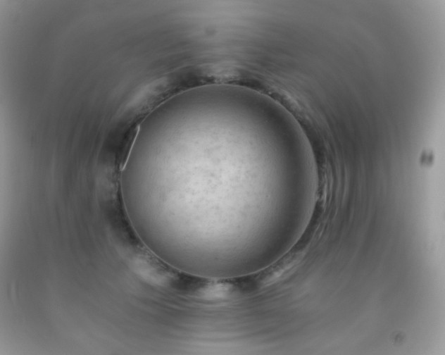 X0000092250609200709141150