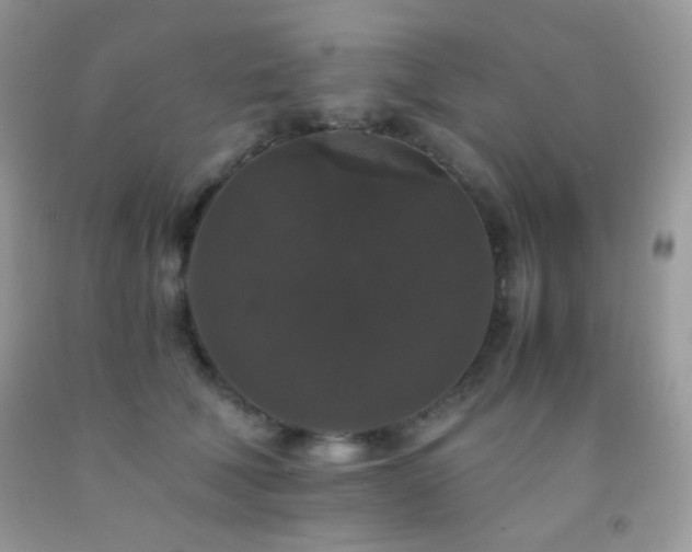 X0000092250610200709141150