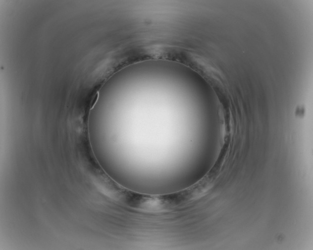 X0000092250611200709141149