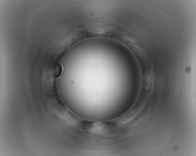 X0000092250612200709141149