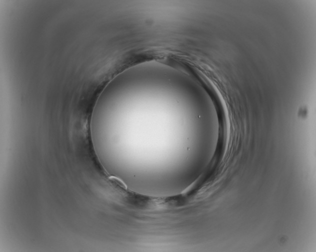 X0000092250613200709141149