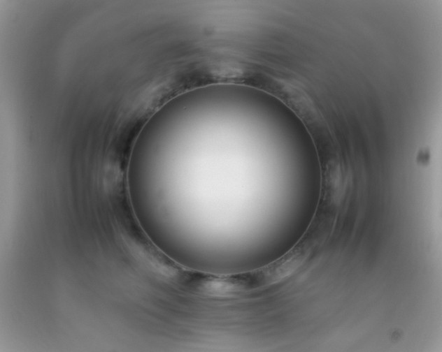 X0000092250614200709141149