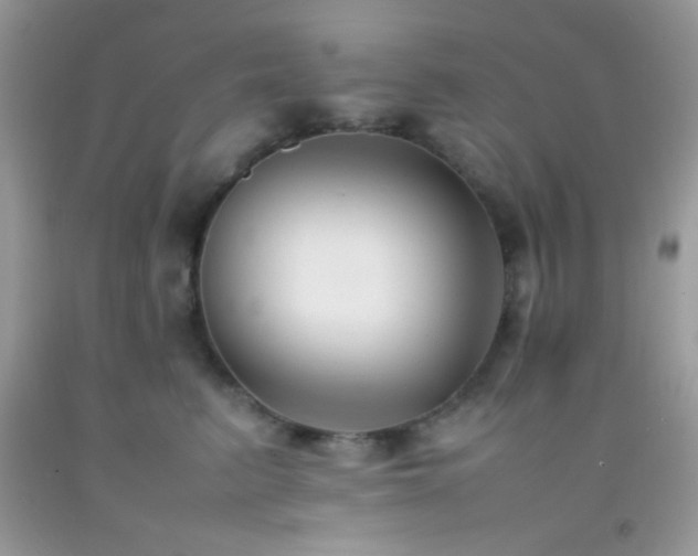 X0000092250615200709141149