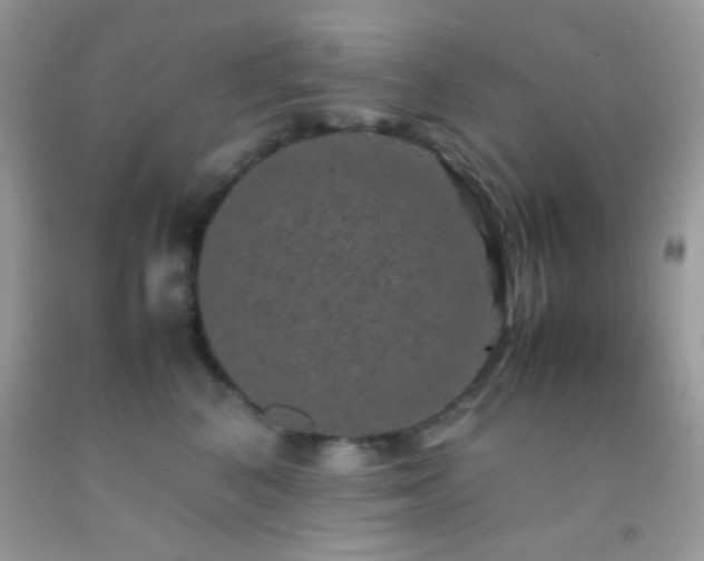 X0000092250616200709141149