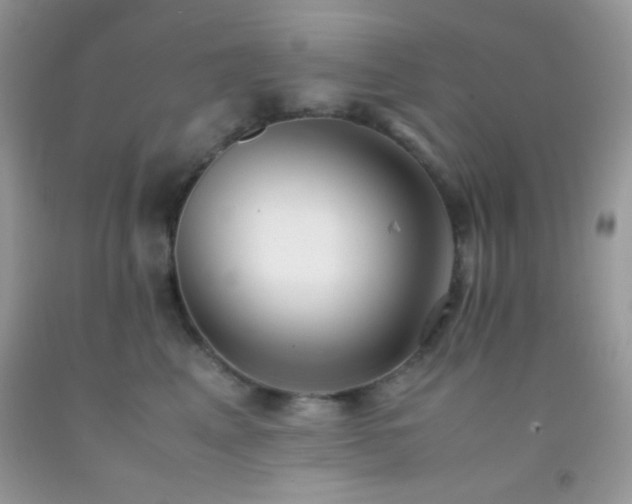 X0000092250617200709141149