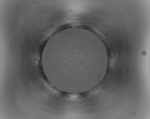 X0000092250618200709141149
