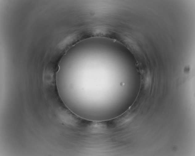 X0000092250619200709141149