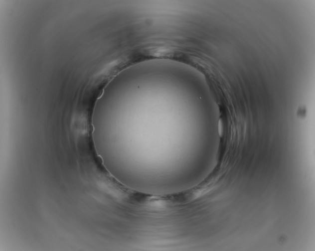 X0000092250620200709141149