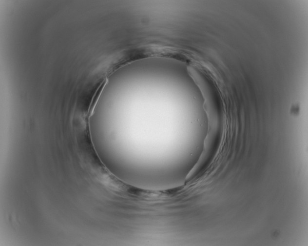 X0000092250621200709141149