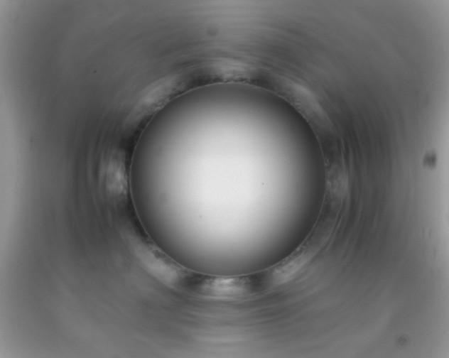 X0000092250622200709141149