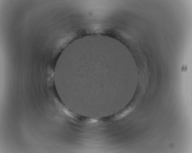 X0000092250624200709141149