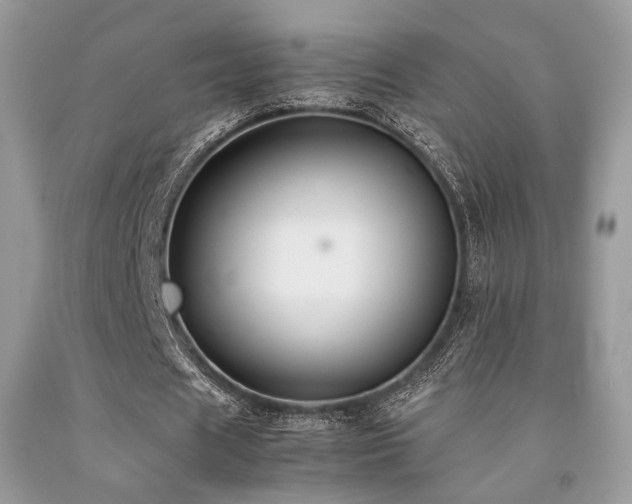 X0000092250625200709141149