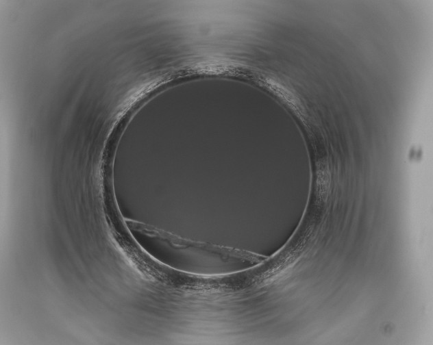 X0000092250626200709141149