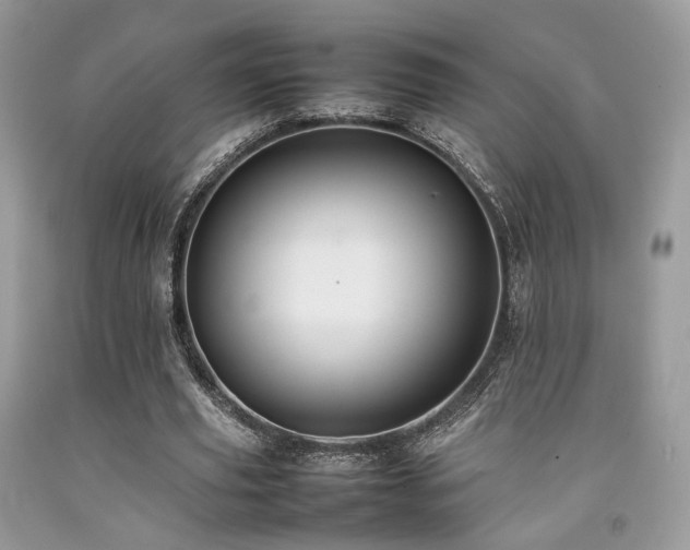 X0000092250629200709141149