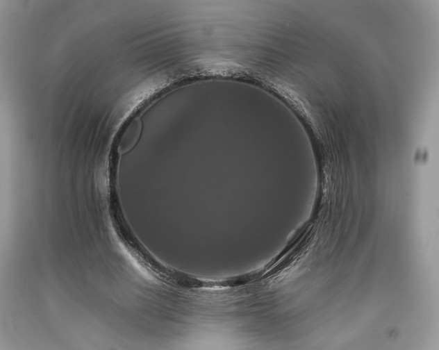 X0000092250630200709141149