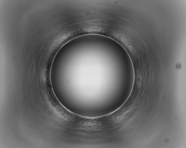 X0000092250631200709141149