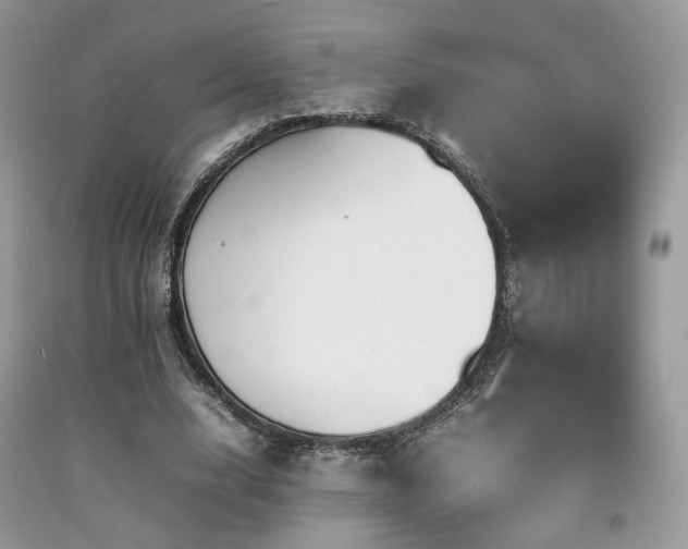 X0000092250632200709141149