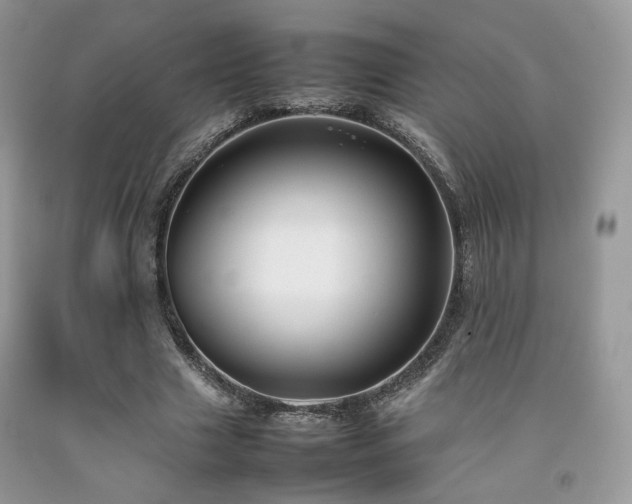 X0000092250633200709141149