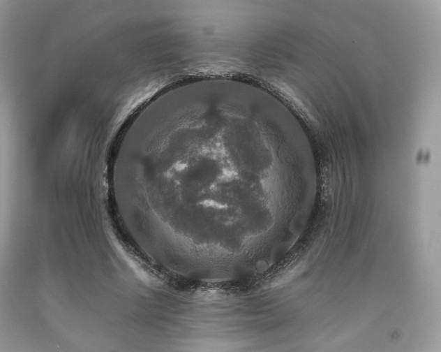 X0000092250634200709141149
