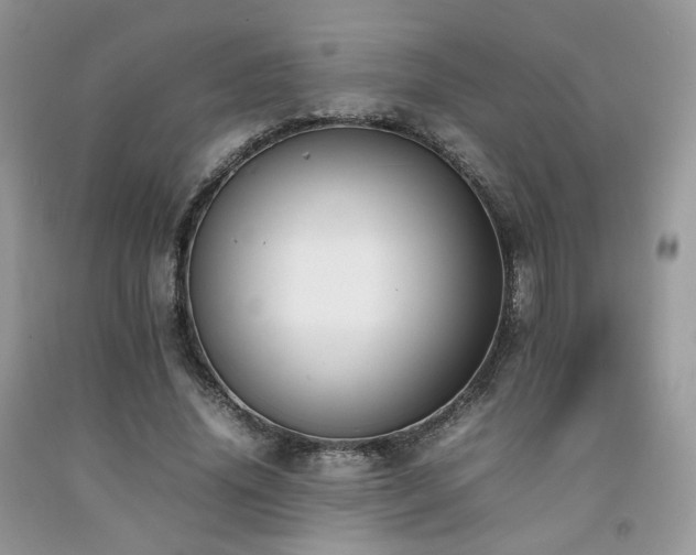 X0000092250636200709141149