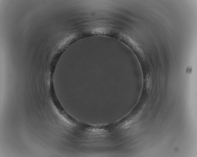 X0000092250637200709141149