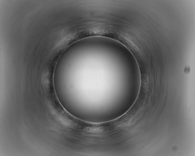X0000092250639200709141149