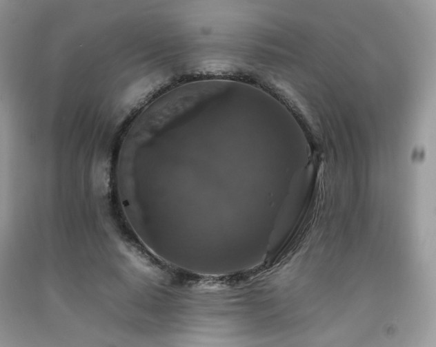 X0000092250640200709141149