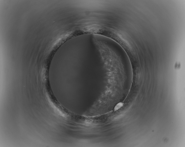 X0000092250641200709141149