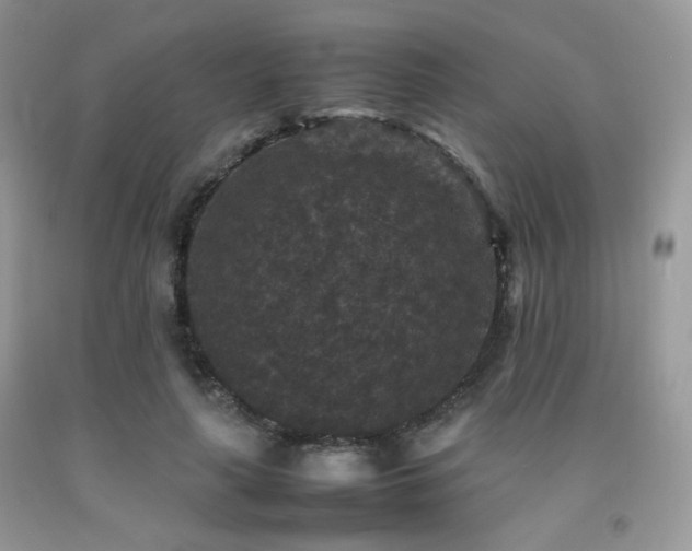 X0000092250643200709141149