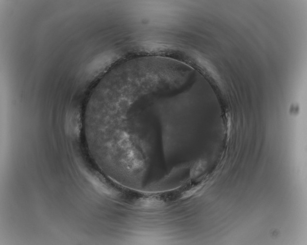 X0000092250644200709141149