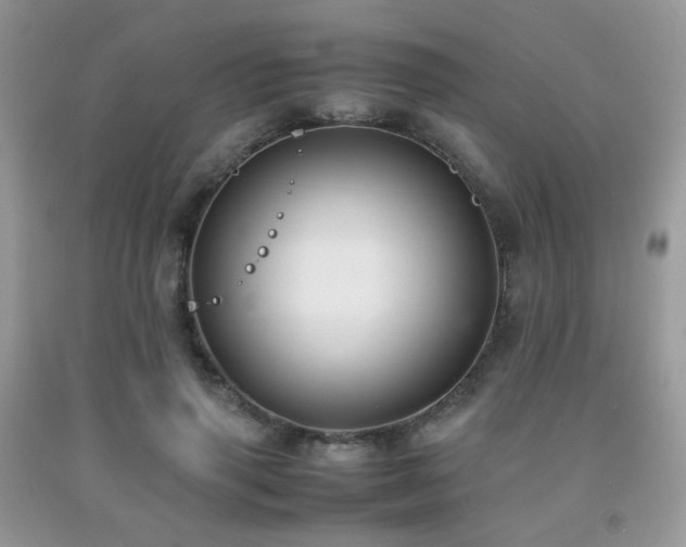 X0000092250645200709141149