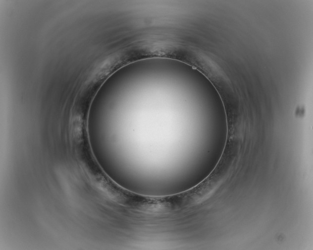 X0000092250646200709141149
