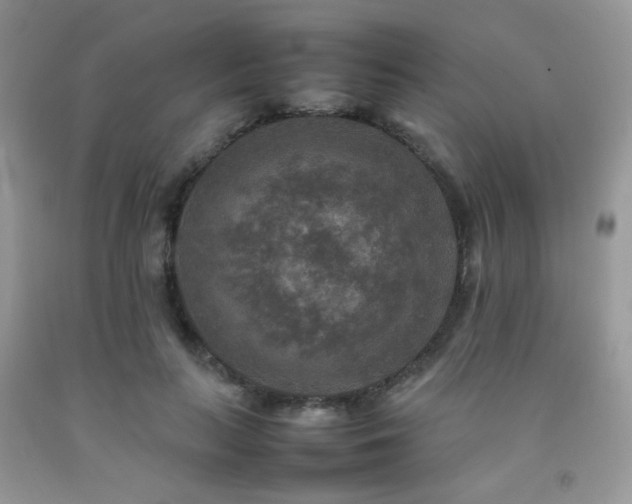 X0000092250647200709141149