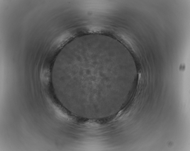 X0000092250648200709141149