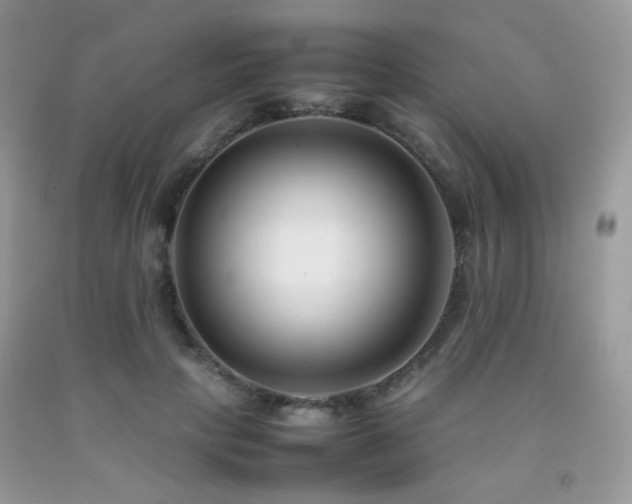 X0000092250649200709141149