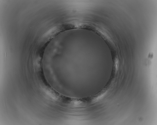 X0000092250650200709141149