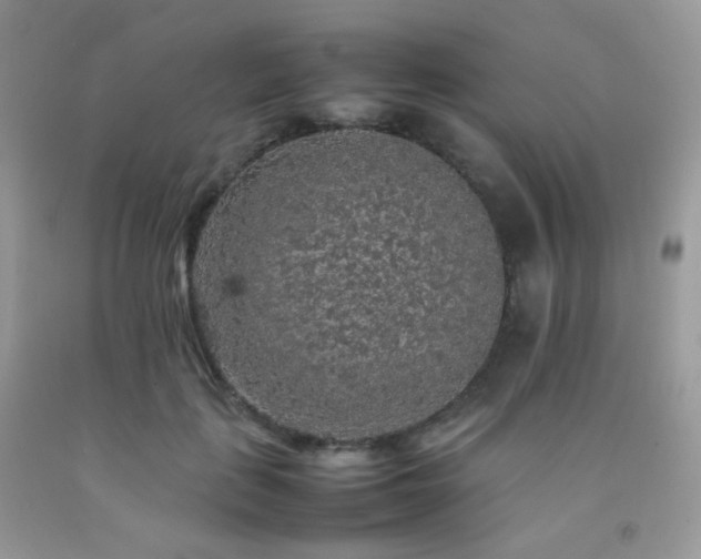 X0000092250651200709141149
