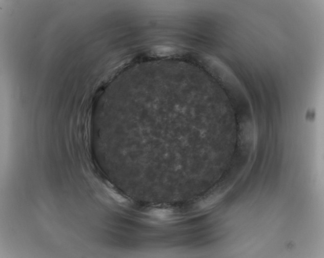 X0000092250653200709141149