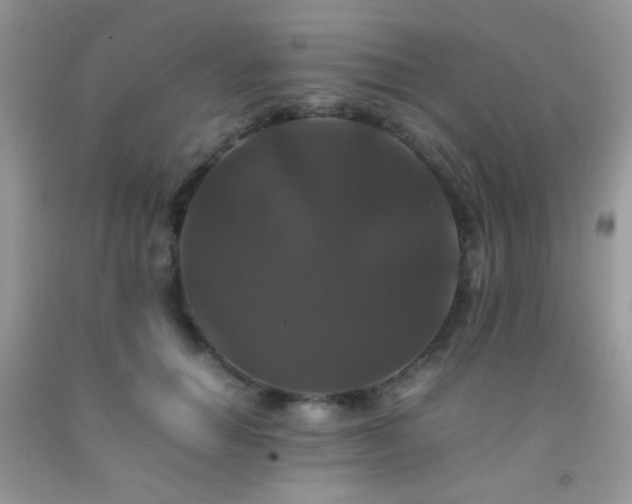 X0000092250654200709141149