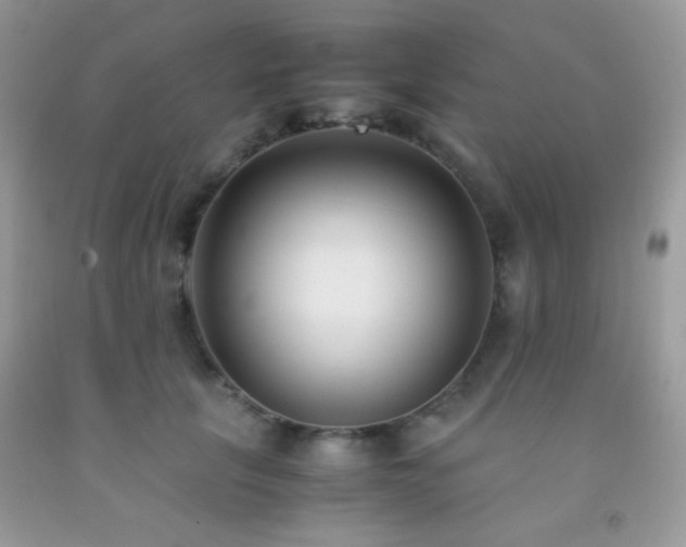 X0000092250657200709141149