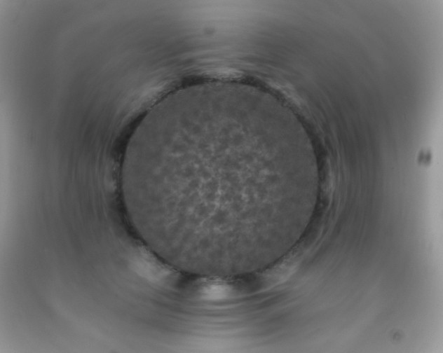 X0000092250658200709141149