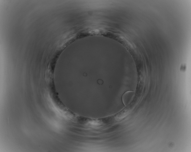 X0000092250659200709141149
