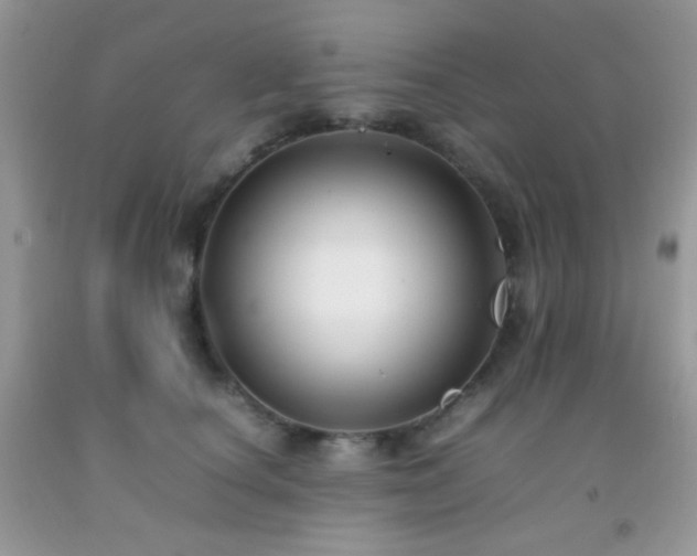 X0000092250660200709141149