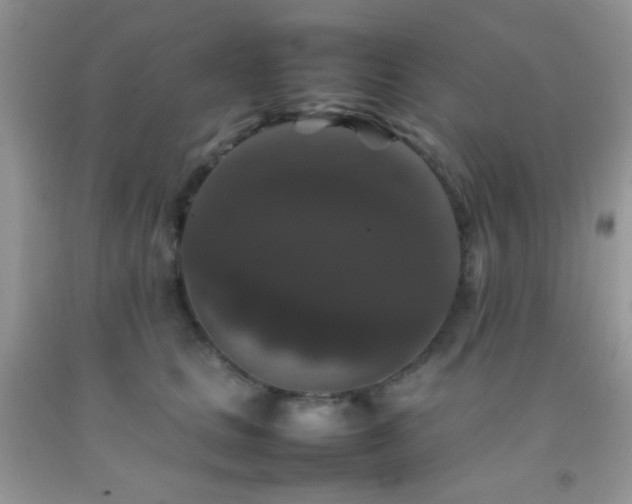 X0000092250661200709141149