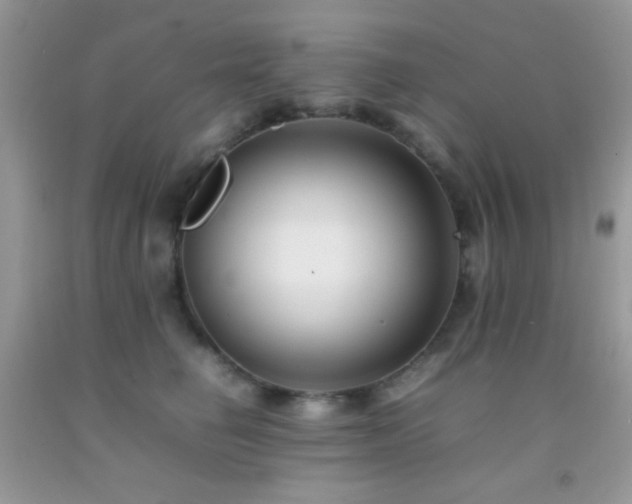 X0000092250662200709141149
