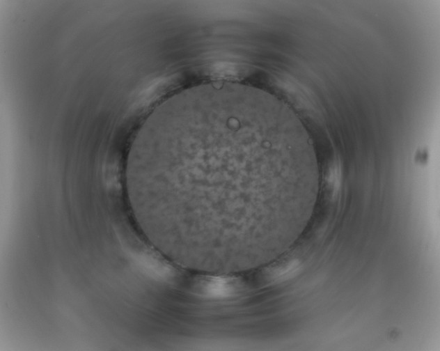 X0000092250663200709141149