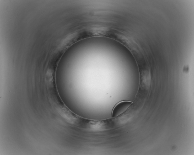 X0000092250667200709141149