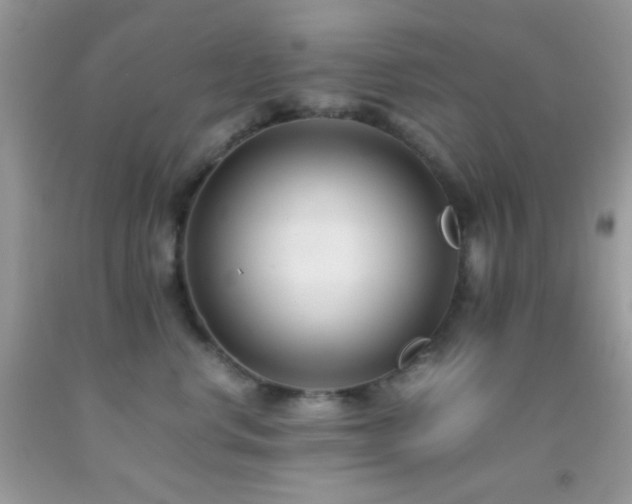 X0000092250668200709141149