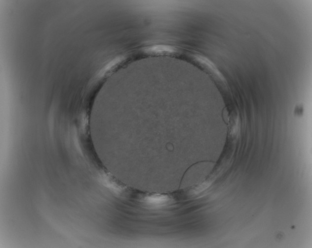 X0000092250669200709141149